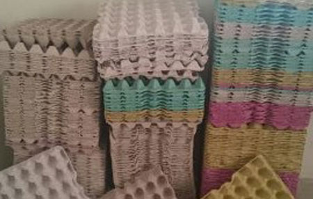 Plateaux en pulpe couleurs