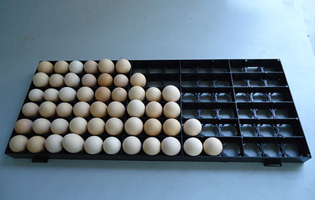 Plateau 90 œufs