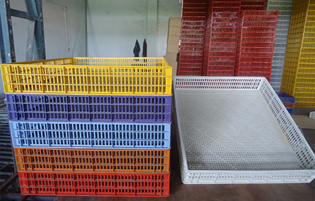 Plateaux d’éclosion (modèles)