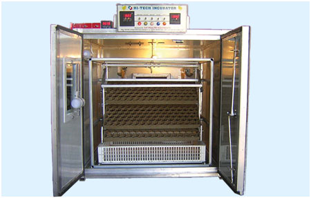 Incubateur 500 œufs